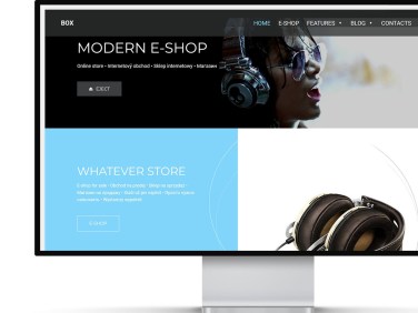 ready-made website with smart eshop